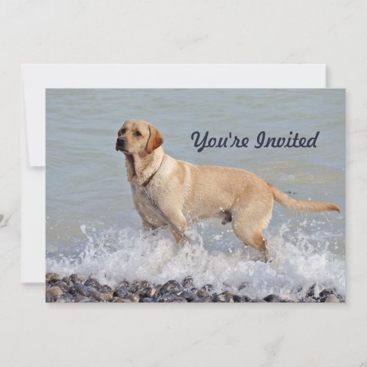 ラボイエロードッグウォーター写真誕生日 招待状 (正面)