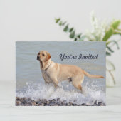 ラボイエロードッグウォーター写真誕生日 招待状 (スタンド正面)