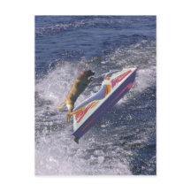 ラボクールジャンプ波