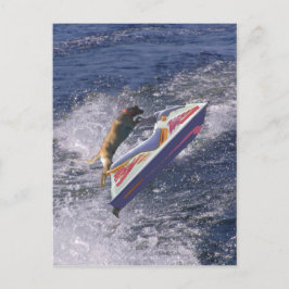 ラボクールジャンプ波 ポストカード