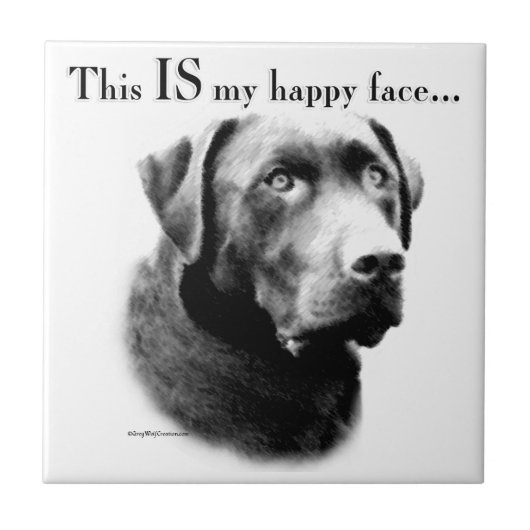 ラボハッピー顔 タイル (正面)