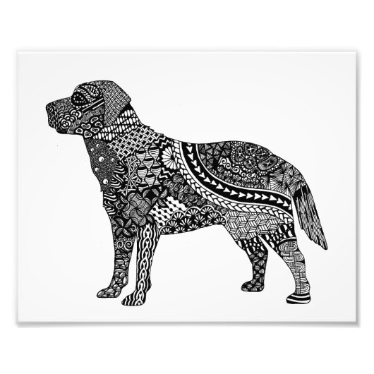 ラボプリント フォトプリント            (正面)