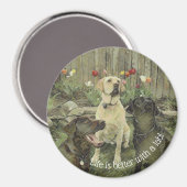 ラボマグネットを使用した方がライフが向上 マグネット (正面/裏面)