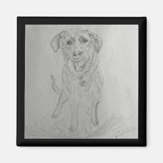 ラボマグネット マグネット (正面)