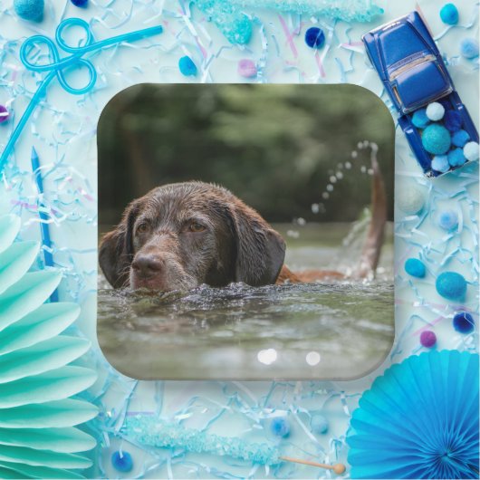 ラボ ペーパープレート (パーティー)