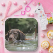 ラボ ペーパープレート (パーティー)