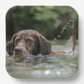 ラボ ペーパープレート (正面)