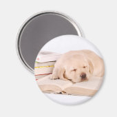 ラボ マグネット (正面/裏面)