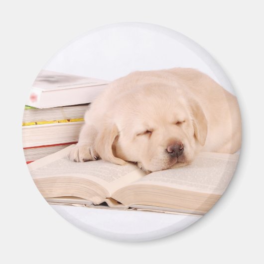 ラボ マグネット (正面)