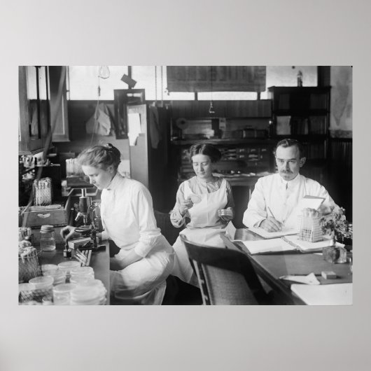 ラボ・ラット， 1912 ポスター (正面)