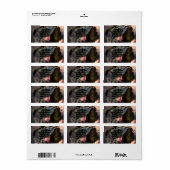 ラポワール#2 ラベル (フルシート)