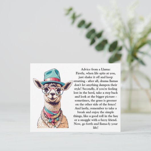 ラマおもしろいーからのアドバイス ポストカード (スタンド正面)