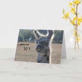 ラマおもしろい誕生日、70th、丘を越えて カード (黄色い花)