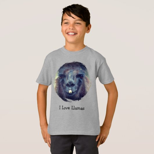ラマが好きな牧場の動物 Tシャツ (正面フル)