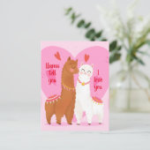 ラマが教えるよ ポストカード (スタンド正面)