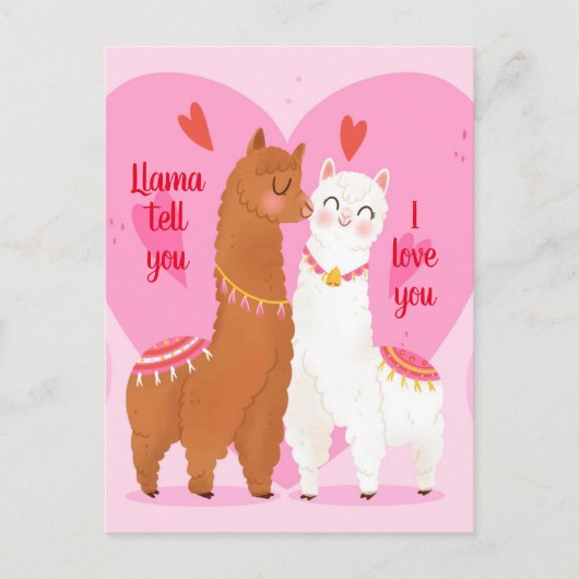 ラマが教える ポストカード (正面)