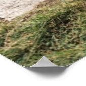 ラマが見渡せる遺跡 | Machu Picchu,ペルー ポスター (角)