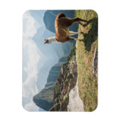 ラマが見渡せる遺跡 | Machu Picchu,ペルー マグネット (縦)