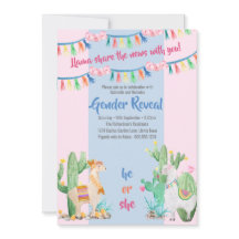 ラマとサボテンのピンクとブルーのジェンダーが明らかにする