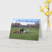 ラマとヤング カード (黄色い花)