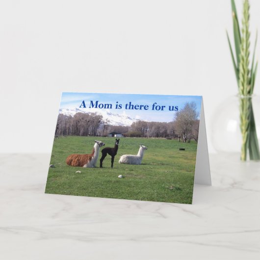 ラマとヤング カード (正面)