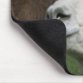 ラマのマウスパッド マウスパッド (コーナー)