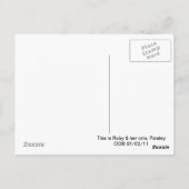 ラマのママ & クリア ポストカード (裏面)