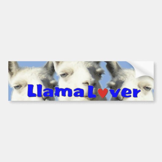 ラマの恋人のBbumperのステッカー バンパーステッカー (正面)
