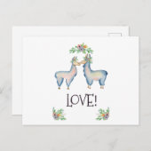 ラマの恋 ポストカード (正面/裏面)