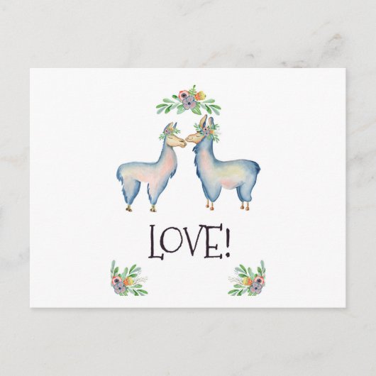 ラマの恋 ポストカード (正面)