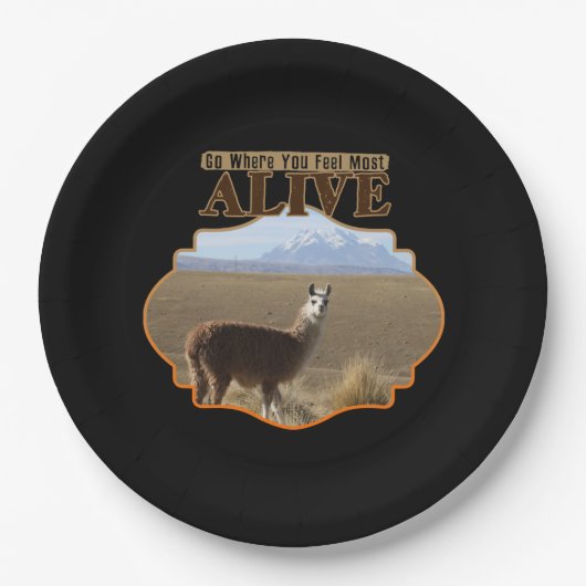 ラマの最も生感じきた冒険家に行く ペーパープレート (正面)
