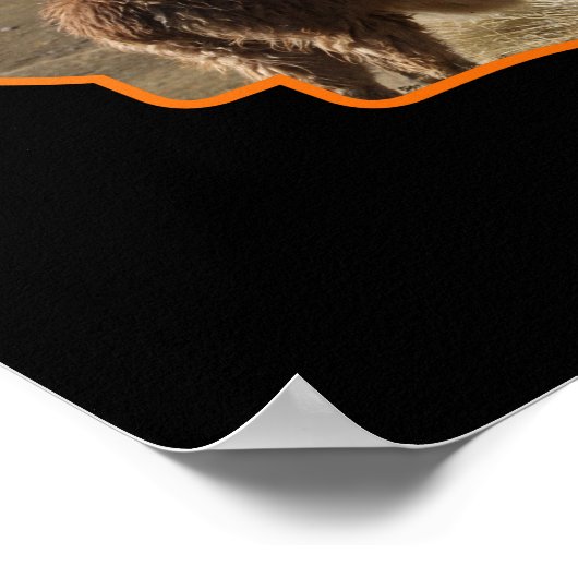 ラマの最も生感じきた冒険家に行く ポスター (角)