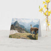 ラマの見落としの台なし| Machu Picchu、ペルー カード (黄色い花)