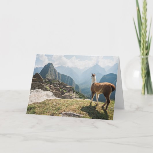 ラマの見落としの台なし| Machu Picchu、ペルー カード (正面)