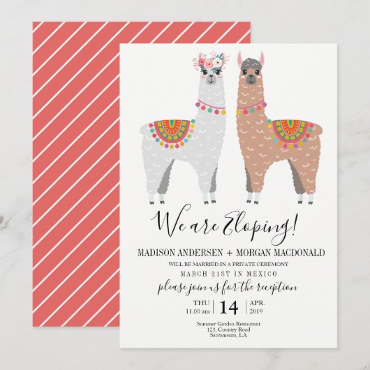 ラマの駆け落ちパーティー招待状 招待状 (正面/裏面)