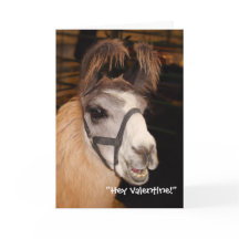 ラマのLloveのバレンタインデーカード