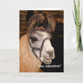 ラマのLloveのバレンタインデーカード シーズンカード