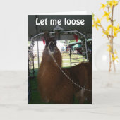 ラマはハッピーバースデーと言う カード (黄色い花)