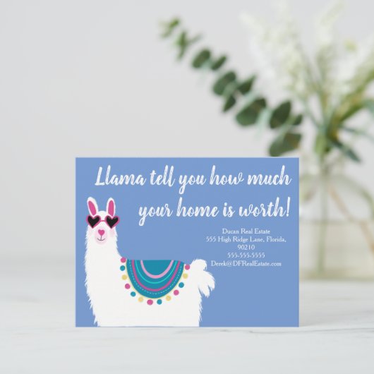 ラマは、どの程度の不動産実在マーケティングが売れているかを教えてくれ ポストカード (スタンド正面)