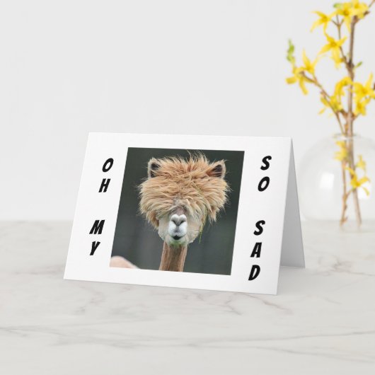 **ラマは「早く元気になれ!」と言う。 カード (黄色い花)