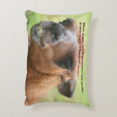 ラマアンガー引用文感動的  アクセントクッション (裏面(縦))