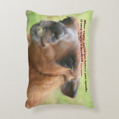 ラマアンガー引用文感動的  アクセントクッション (正面(垂直))