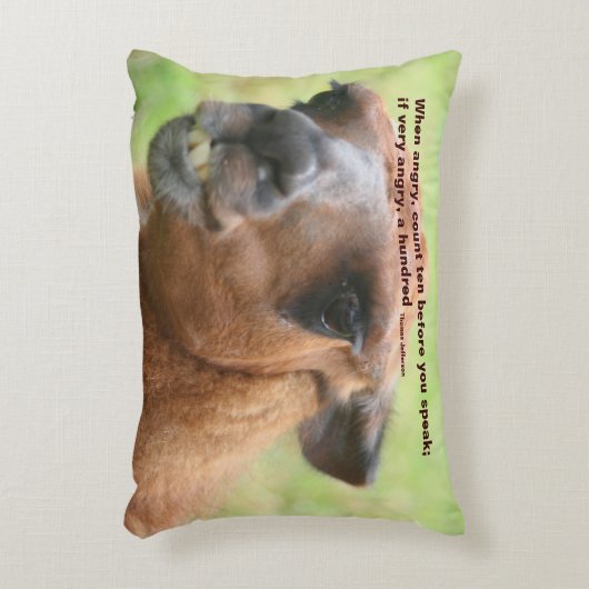 ラマアンガー引用文感動的  アクセントクッション (正面(垂直))