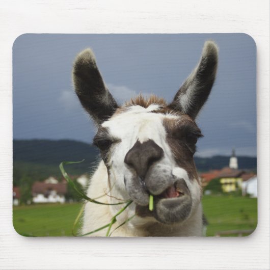 ラマクール マウスパッド (正面)