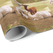 ラマスウィズベビークリア ラッピングペーパー (ロールコーナー)