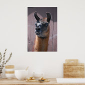 ラマス ポスター (キッチン)