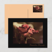 ラマダンカレム – 赤いバラの葉書 ポストカード (正面/裏面)