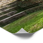 ラマナイ、ベリーズのはがき ポスター (角)