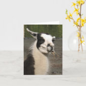 ラマノートカードを昼食中 カード (黄色い花)