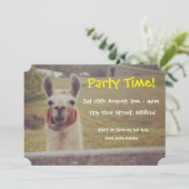 ラマパーティの招待状 招待状 (スタンド正面)